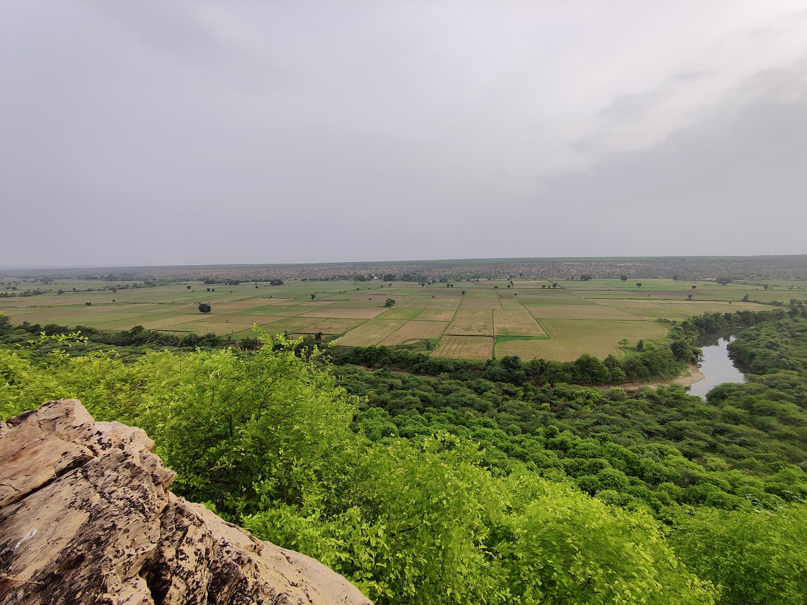Dry forest and scrub landscape in Mukundara Hills